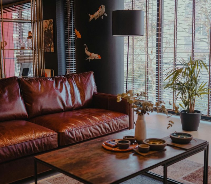 pexels-tugce-acikyurek-3099881-15602701